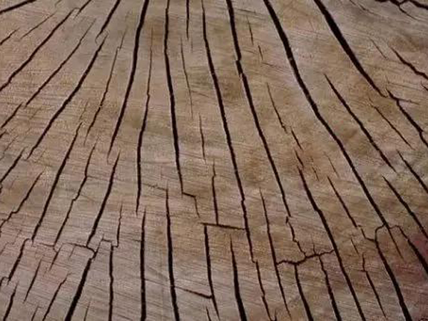 黑龙江防止菠萝格木材板材开裂，八个方法